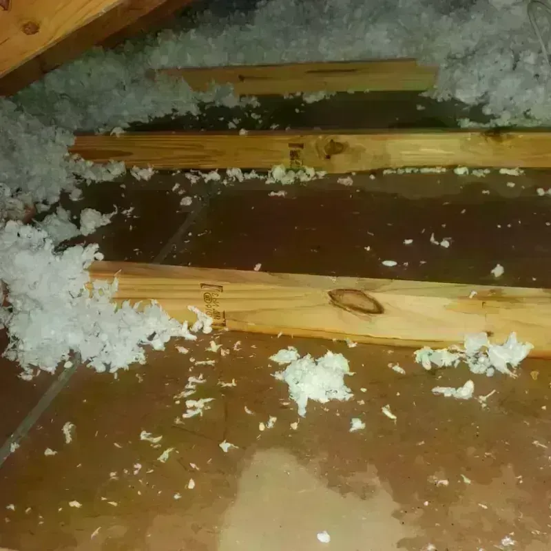 Attic Water Damage in Macon, GA