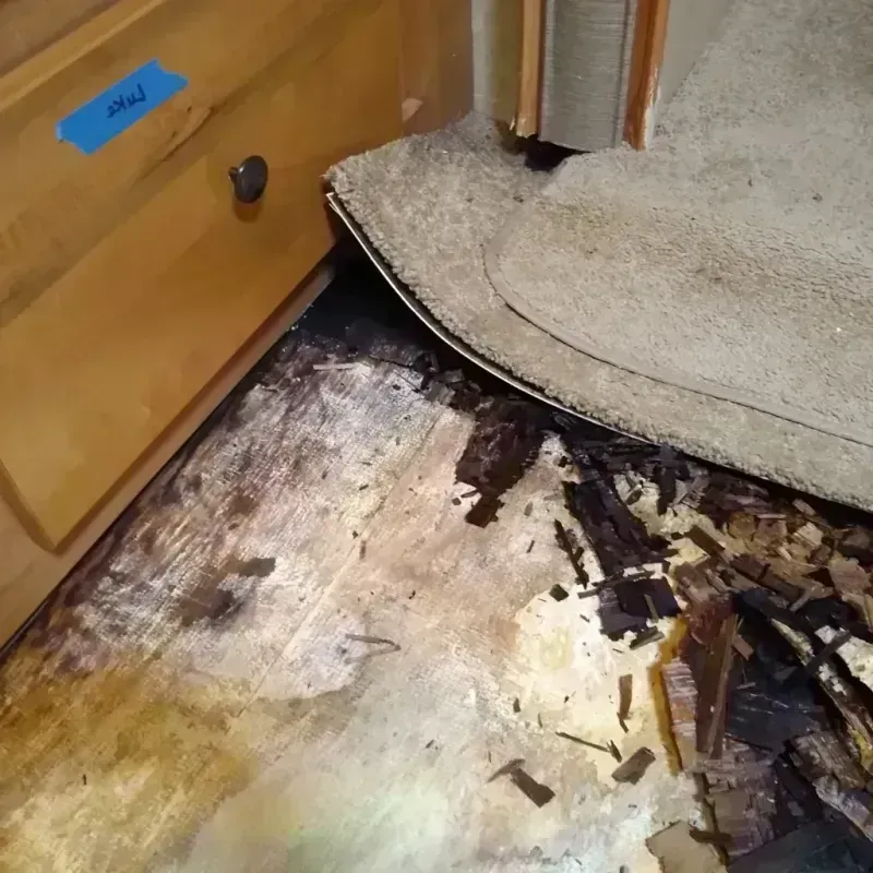 Wood Floor Water Damage in Macon, GA